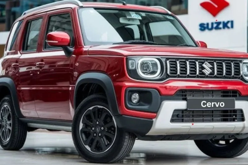 Own a Family Car for Just ₹50,000 Down! Maruti Suzuki Cervo Launches with 658cc Engine & 26 Km/L Mileage