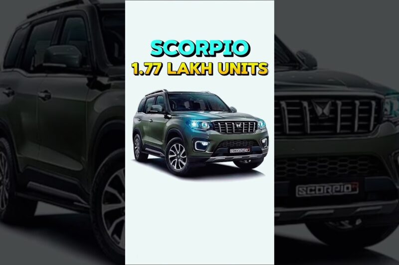 2025 Car Sales India | कौन सी कंपनी बनी किंग? 👑.